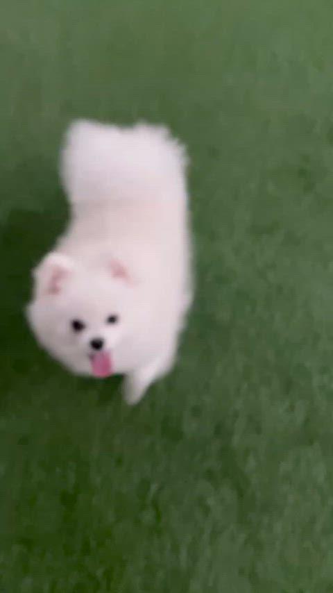 thumbnail-6